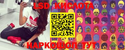 ПСИЛОЦИБИНОВЫЕ ГРИБЫ Новодвинск