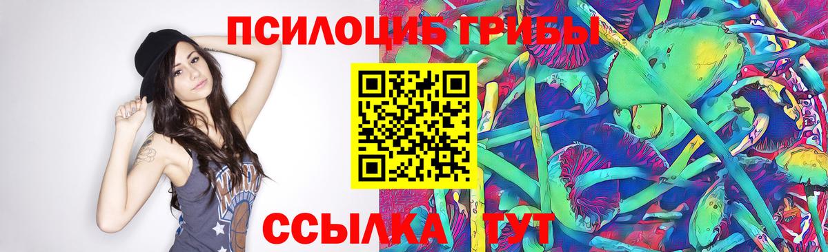 Псилоцибиновые грибы Magic Shrooms Сухой Лог